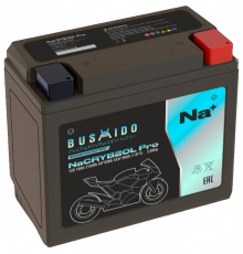 Аккумулятор мото NaCRYB20L Pro YT20L-4 12В 18Ач 360А BUSHIDO о.п.