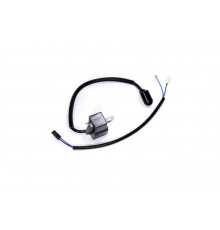 Модуль зажигания (магнето) \ HUS 125R, 128R \ IGP